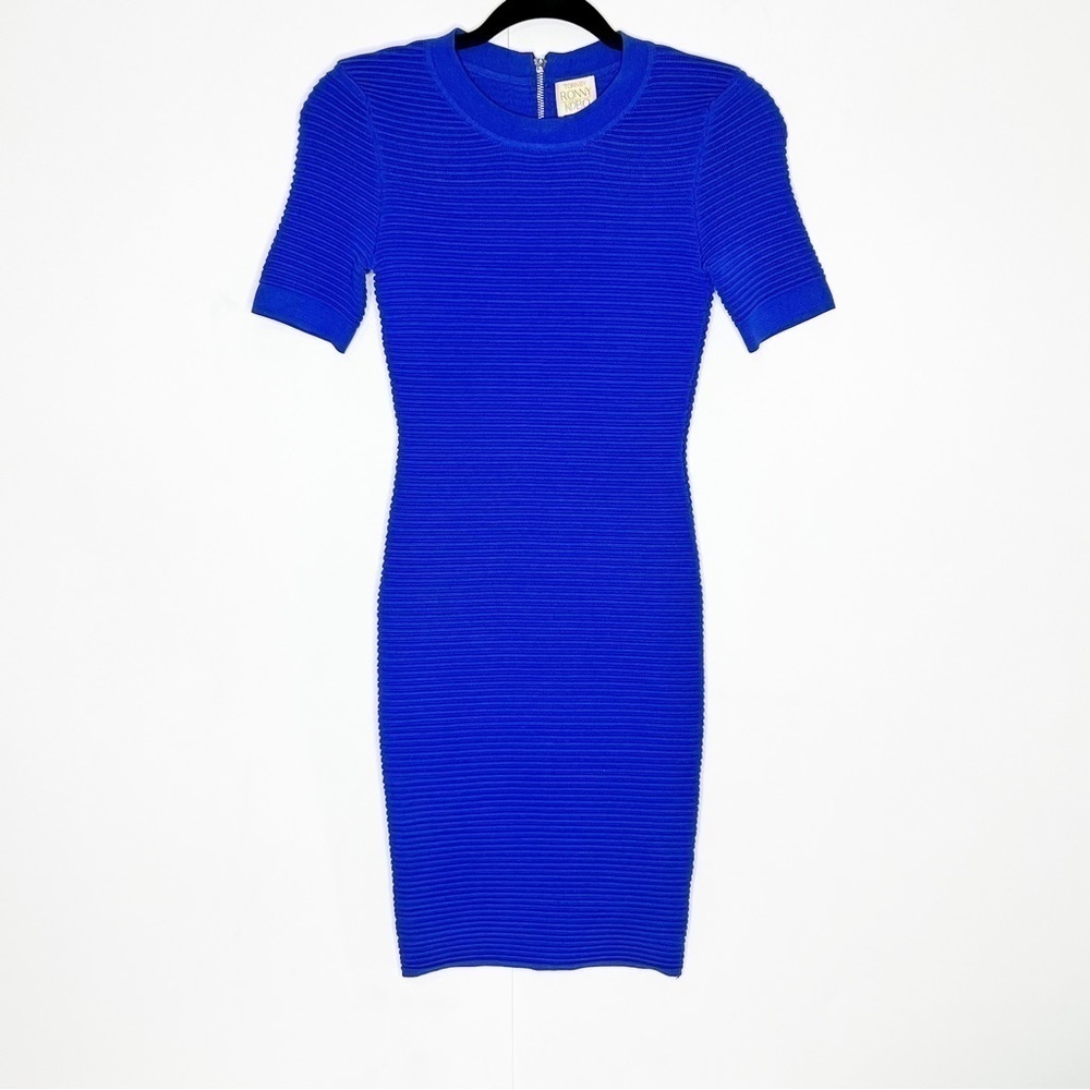Torn by‎ Ronny Kobo Ribbed Bodycon Dress
